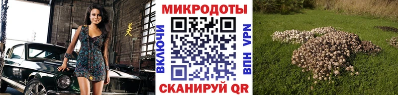 Псилоцибиновые грибы мицелий Краснослободск